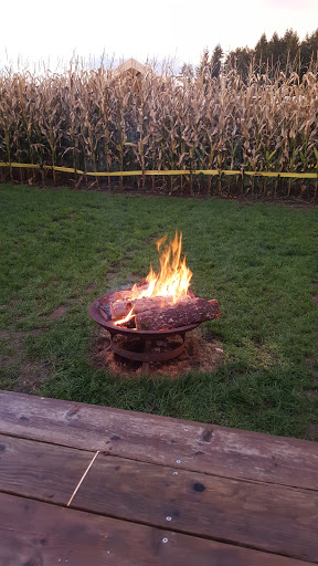 Pumpkin Patch «Rutledge Corn Maze LLC», reviews and photos, 302 93rd Ave SE, Olympia, WA 98501, USA