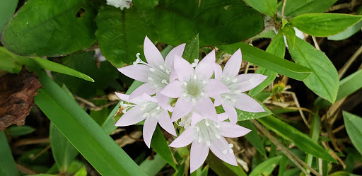 Golf Club «Polo West», reviews and photos, 2470 Greenview Cove Dr, Wellington, FL 33414, USA