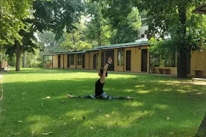 200 hour Vinyasa Yoga Teacher Training Rishikesh - Peace Yoga image