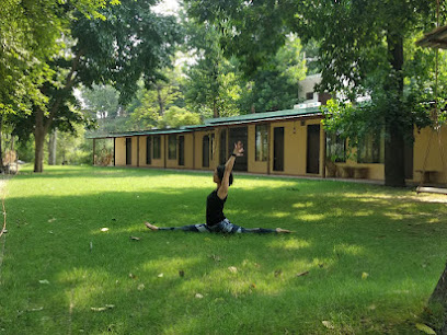 Peace Yoga Retreat - 200 hour Ashtanga Yoga TTC in Rishikesh, India