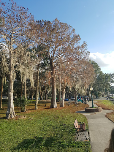 Nature Preserve «Palm Island Park», reviews and photos, 411 S Tremain St, Mt Dora, FL 32757, USA