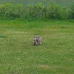 Photo n°1 de l'avis de Anett.c fait le 05/06/2022 à 13:23 sur le  Simonsberg à Simonsberg