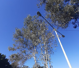 Teresita Paramo Park photo