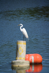 Florida Life Media & Boat Tours - Photo 9 - Car repair in , Winter Haven