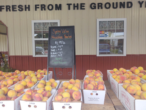 Supermarket «Spring Valley Farm Corner Market», reviews and photos, 22580 Northwestern Turnpike, Romney, WV 26757, USA