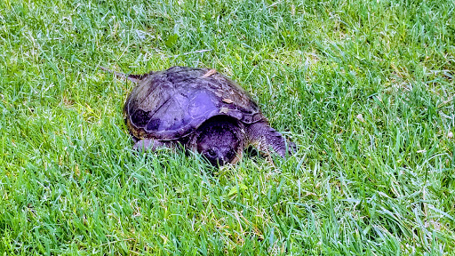 Golf Course «Hickory Woods Golf Course», reviews and photos, 1240 Hickory Woods Dr, Loveland, OH 45140, USA