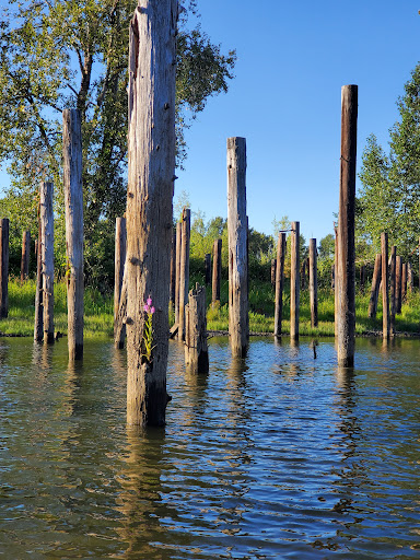 Canoe & Kayak Rental Service «Scappoose Bay Paddling Center», reviews and photos, 57420 Old Portland Rd, Warren, OR 97053, USA