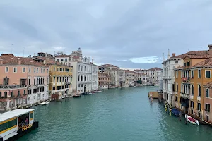Organization for Conservation of Gondola image