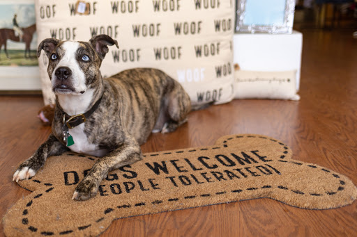 Tack Shop «The Surrey Saddlery», reviews and photos, 14120 Darnestown Rd, Darnestown, MD 20874, USA