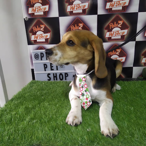 Peluquería canina Pelu2 Pet Shop - Peluquería
