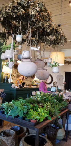 Florist «Flora», reviews and photos, 428 Haywood Rd B, Asheville, NC 28806, USA