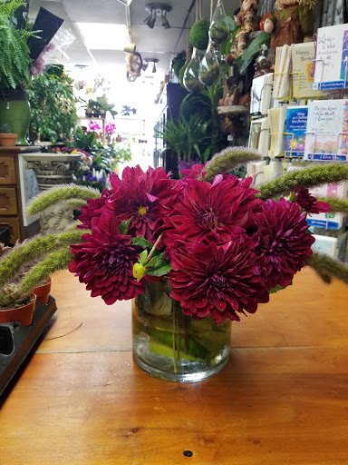 Florist «Fairfield Florist», reviews and photos, 1998 Post Rd, Fairfield, CT 06824, USA