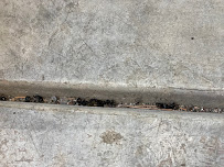 Nature One Pest Control - Photo 5 - Car repair in Dalton Gardens, ID, Coeur d'Alene