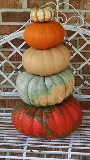 Coffee Shop «Camp Coffee Roasters», reviews and photos, 921 Main St, Blowing Rock, NC 28605, USA