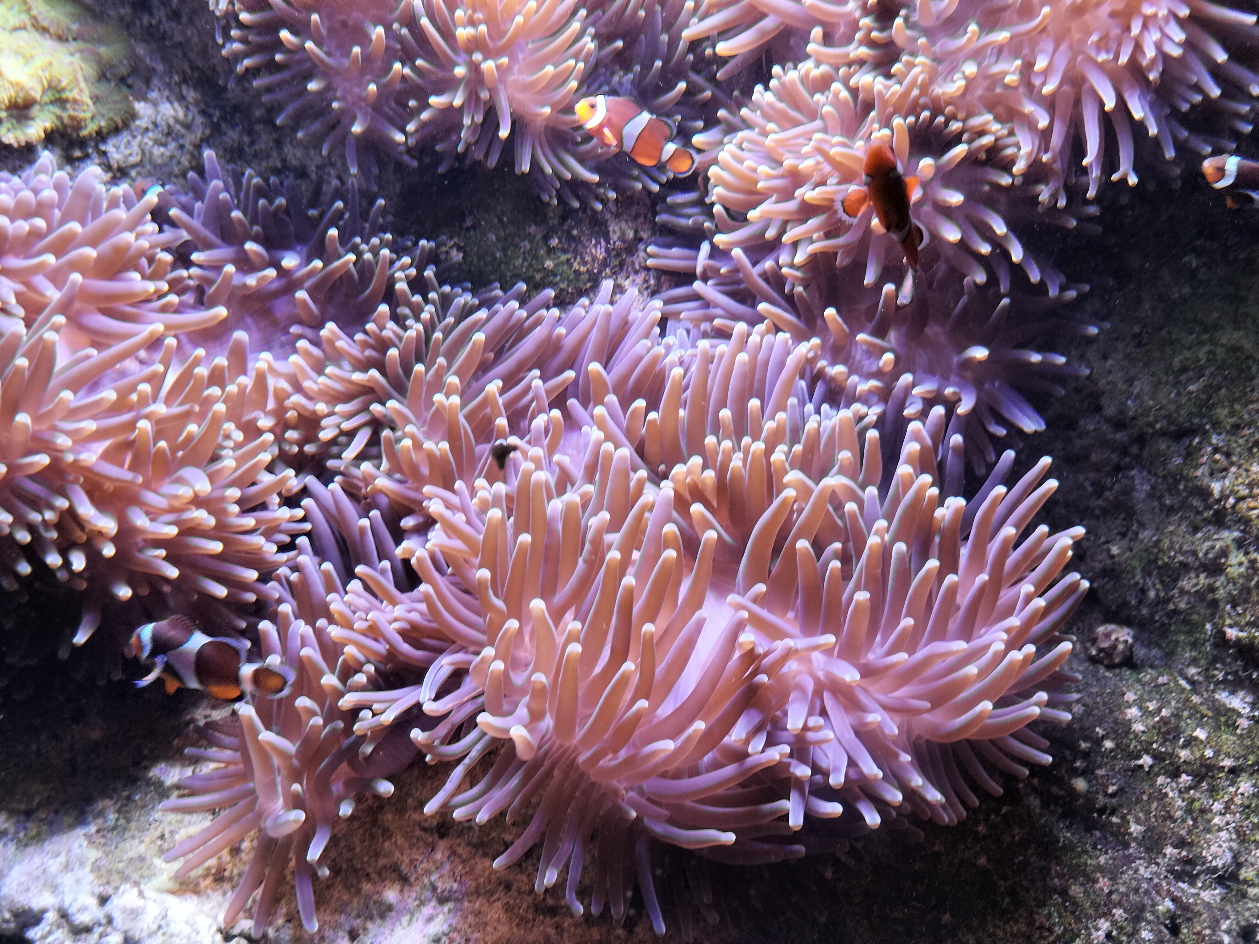 Photo n° 2 de l'avis de Arnaud.� fait le 25/08/2022 à 21:50