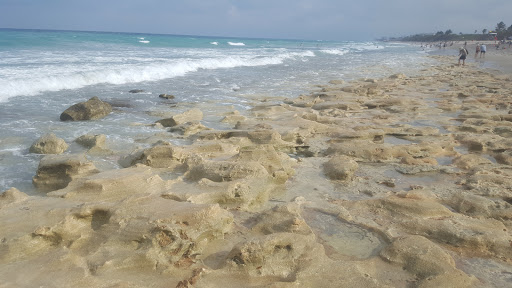 Park «Juno Dunes Natural Area», reviews and photos, 14501 US-1, Juno Beach, FL 33408, USA