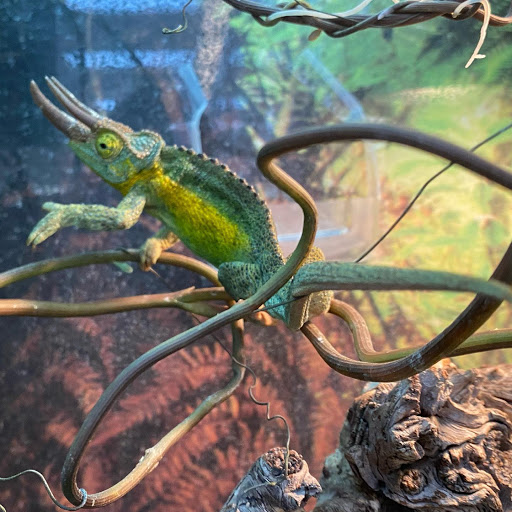 Pet Supply Store «North Tampa PET DEPOT», reviews and photos, 16033 Tampa Palms Blvd W, Tampa, FL 33647, USA