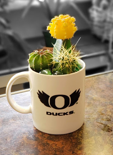 Florist «Kern Park Flower Shoppe», reviews and photos, 6713 SE Holgate Blvd, Portland, OR 97206, USA