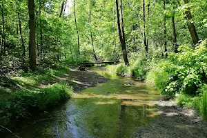 Witkowice Park image