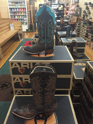 Camping Store «Mosquito Creek Outdoors», reviews and photos, 170 S Washington Ave, Apopka, FL 32703, USA