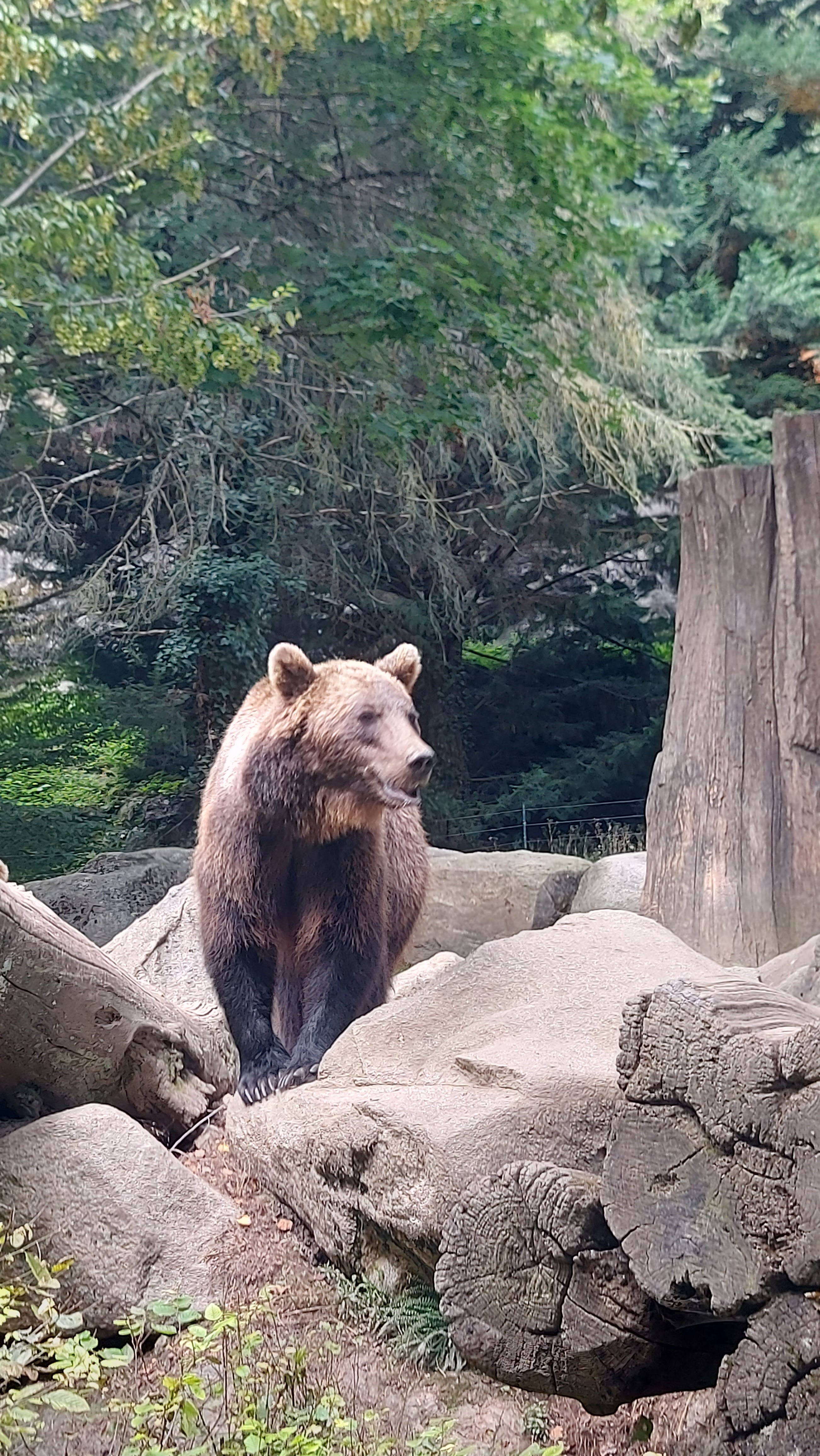 Photo n° 8 de l'avis de Jeremyb59.i fait le 05/08/2023 à 06:02