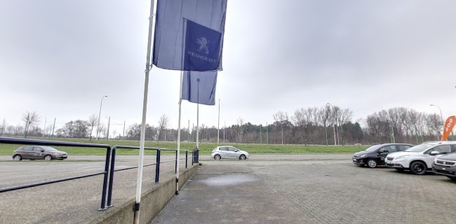 Reacties en beoordelingen van Peugeot Garage Bosman Antwerpen Linkeroever