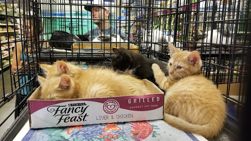 Pet Supply Store «PetSmart», reviews and photos, 145 Promenade Blvd, Bridgewater, NJ 08807, USA