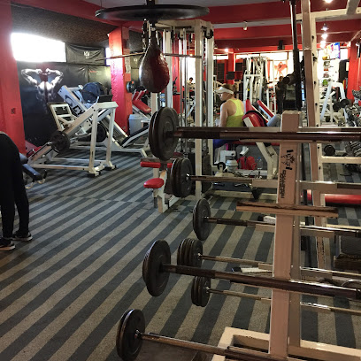 CHAMPION FITNESS - C. San José de los Cedros 219, Rosa Torres, Cuajimalpa de Morelos, 05200 Ciudad de México, CDMX, Mexico