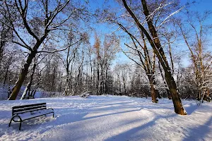 Park na osiedlu Złotego Wieku image