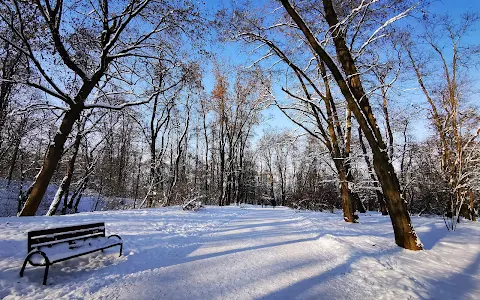 Park na osiedlu Złotego Wieku image