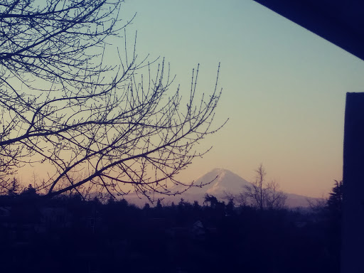 Park «Judkins Park and Playfield», reviews and photos, 2150 S Norman St, Seattle, WA 98144, USA