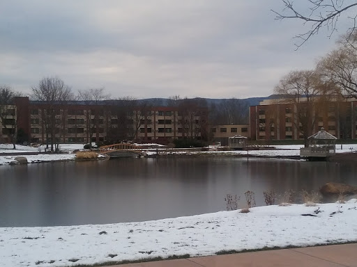 Sucursal de los testigos de Jehová de Estados Unidos, 900 Red Mills Rd, Wallkill, NY 12589, USA, 