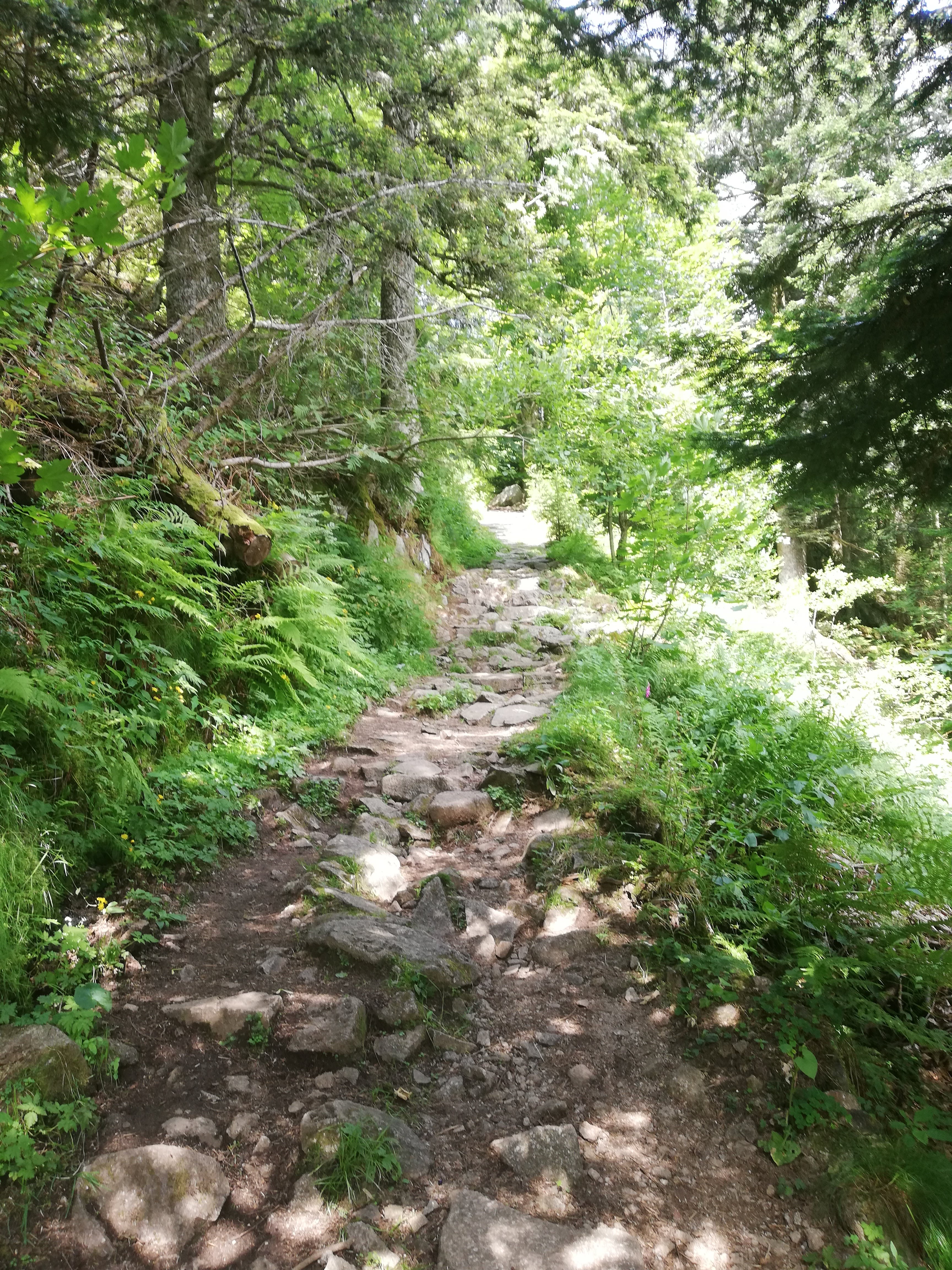 Photo n° 6 de l'avis de E..s fait le 27/07/2019 à 05:10
