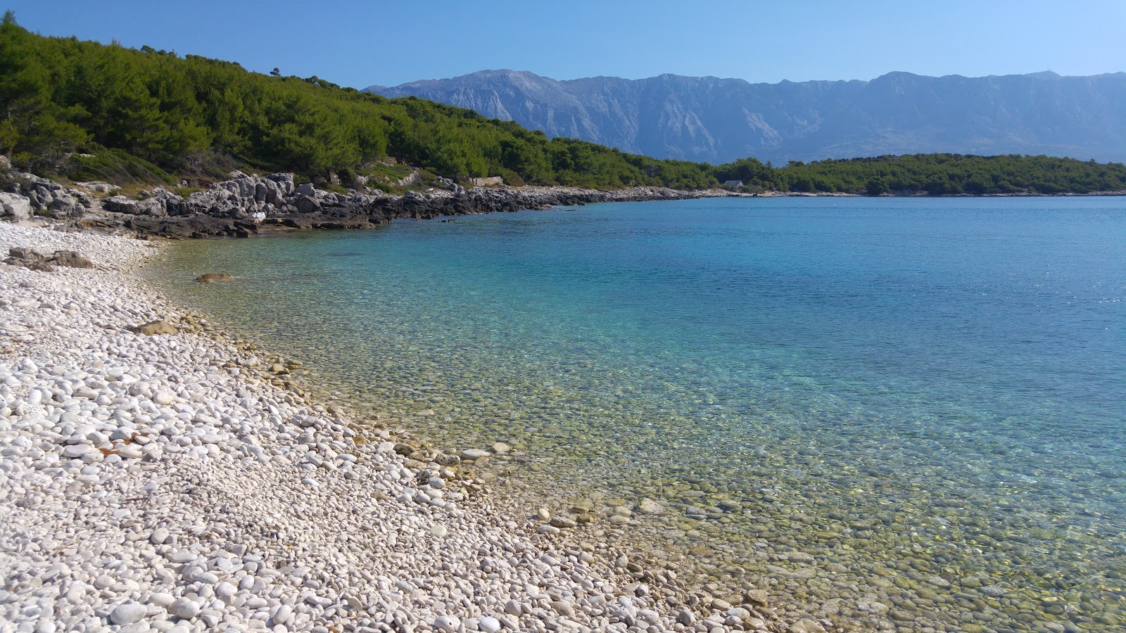 Foto van Puntica beach wilde omgeving