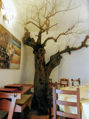 ristoranti Gli Antichi Ulivi Capriati A Volturno
