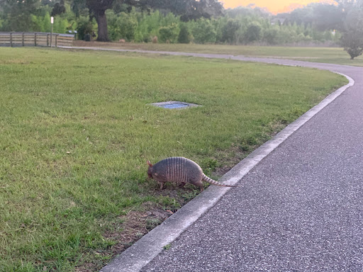 Park «Kapok Park», reviews and photos, 2950 Glen Oak Ave N, Clearwater, FL 33759, USA