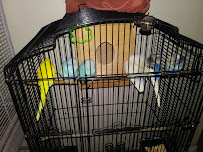 Arrieros Pet Shop - Photo 6 - Car repair in San Diego, CA, San Diego