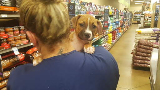 Pet Supply Store «Petco Animal Supplies», reviews and photos, 1141 Wantagh Ave, Wantagh, NY 11793, USA