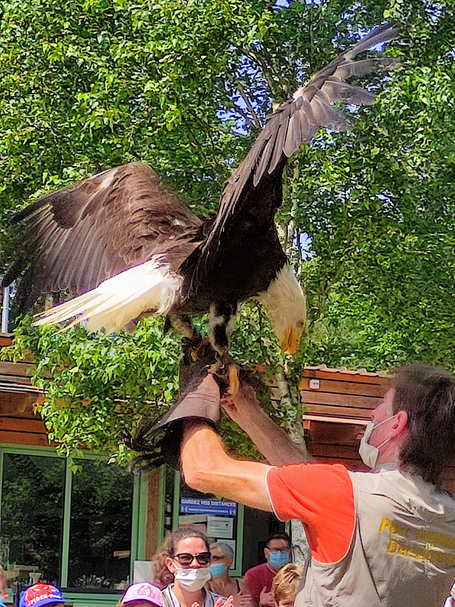 Photo n° 1 de l'avis de Olivier.e fait le 22/07/2021 à 16:28