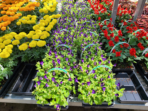 Home Improvement Store «The Home Depot», reviews and photos, 9570 US-20, Perrysburg, OH 43551, USA