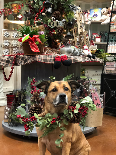 Florist «Wishing Well Floral», reviews and photos, 5656 Hood St #108, West Linn, OR 97068, USA