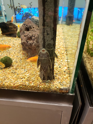 Pet Supply Store «Petco Animal Supplies», reviews and photos, 1660 Orchard Gateway Blvd, North Aurora, IL 60542, USA