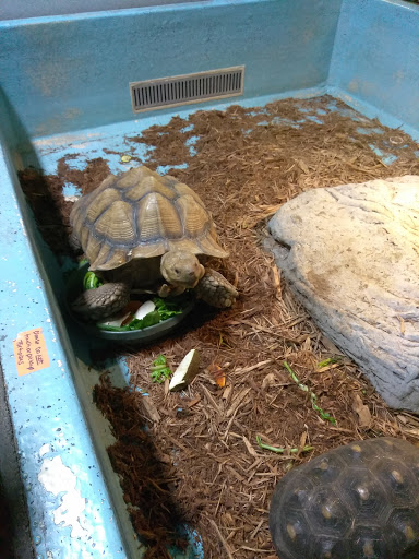 Pet Store «Incredible Pets Inc», reviews and photos, 2255 N Wickham Rd # 102, Melbourne, FL 32935, USA