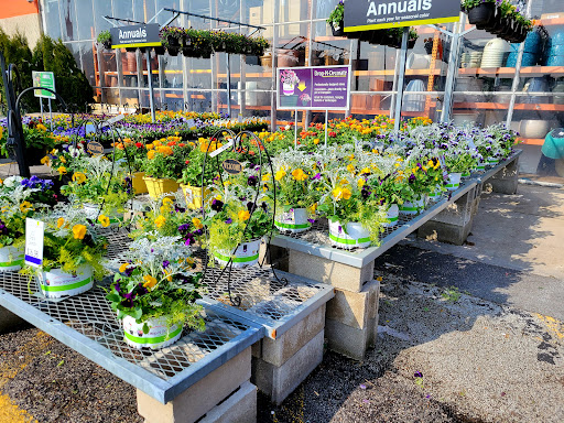 Home Improvement Store «The Home Depot», reviews and photos, 7200 S Cicero Ave, Bedford Park, IL 60638, USA