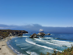 Sand Dollar Beach'in fotoğrafı vahşi alan