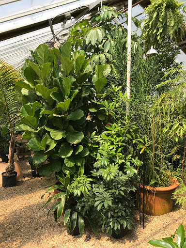 Florist «Guaranteed Plants & Florist», reviews and photos, 504 Locust Point Rd, Rumson, NJ 07760, USA