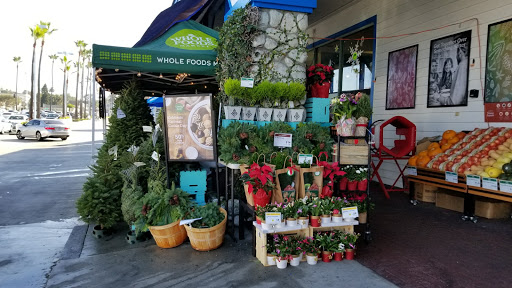 Shopping Mall «Redondo Shores Shopping Center», reviews and photos, 417 Pacific Coast Hwy, Redondo Beach, CA 90277, USA