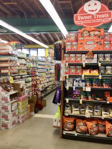 Grocery Store «Whole Foods Market», reviews and photos, 283 Broadway St, Laguna Beach, CA 92651, USA