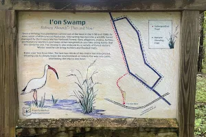 I'on Swamp Interpretive Trail image