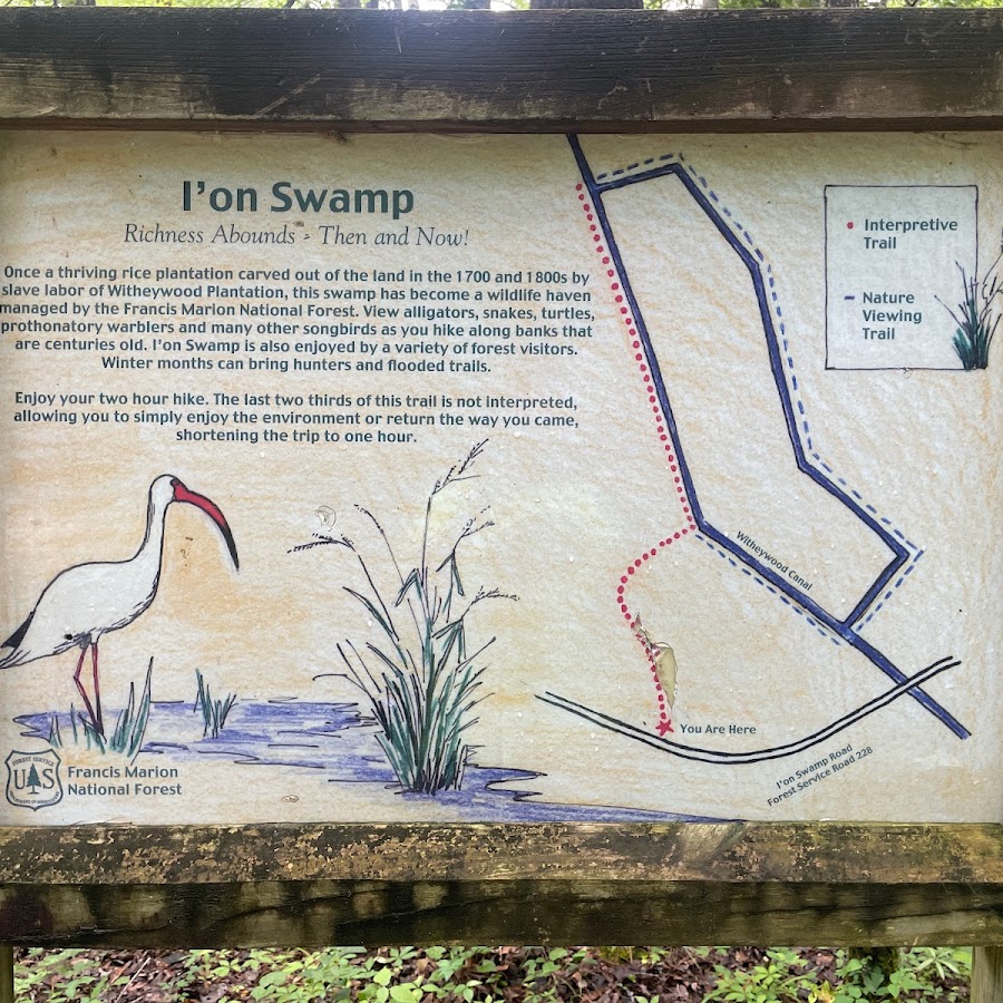 I'on Swamp Interpretive Trail